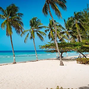 Hotel Coconut Court Beach, Christ Church